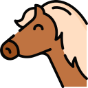 Лёгкая кавалерия